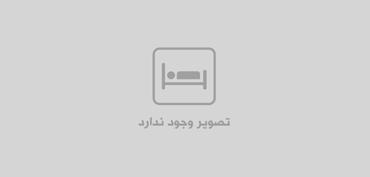 نرم افزار خزانه-تحت وب-پاس چك-صدور فرم پاس چك جديد-انتخاب اقلام پاس چک-روز نت